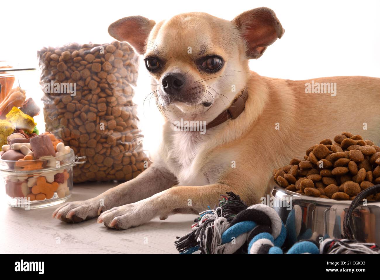 Hintergrund mit verschiedenen Arten von Trockenfutter zur Ftterung des  Hundes und chihuahua auf dem Tisch. Vorderansicht. Horizontale  Zusammensetzung Stockfotografie - Alamy