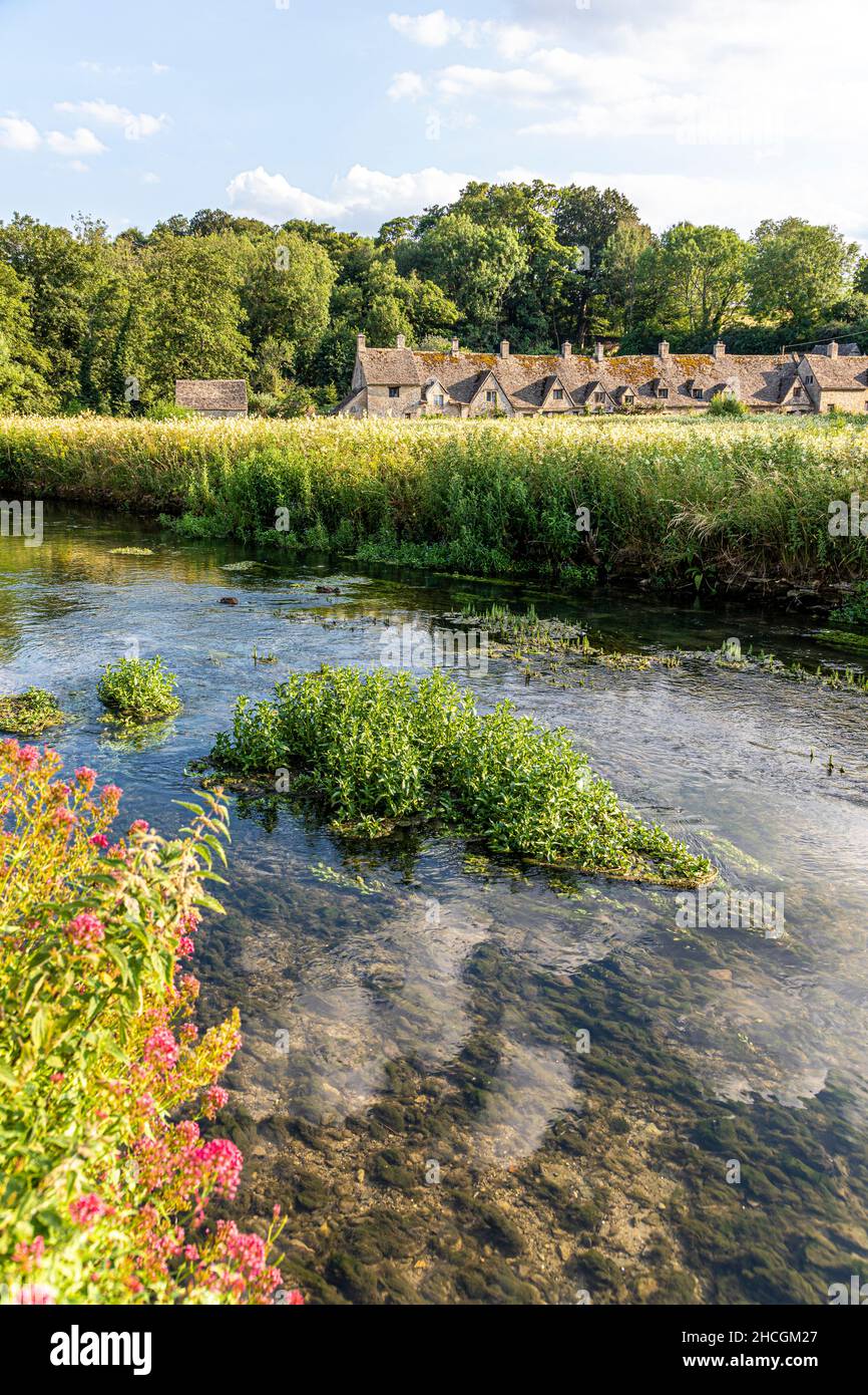 Abends fällt Licht auf die Arlington Row, Weberhütten aus dem späten 14th. Jahrhundert neben dem River Coln im Cotswold-Dorf Bibury, Gloucestershire, Großbritannien Stockfoto