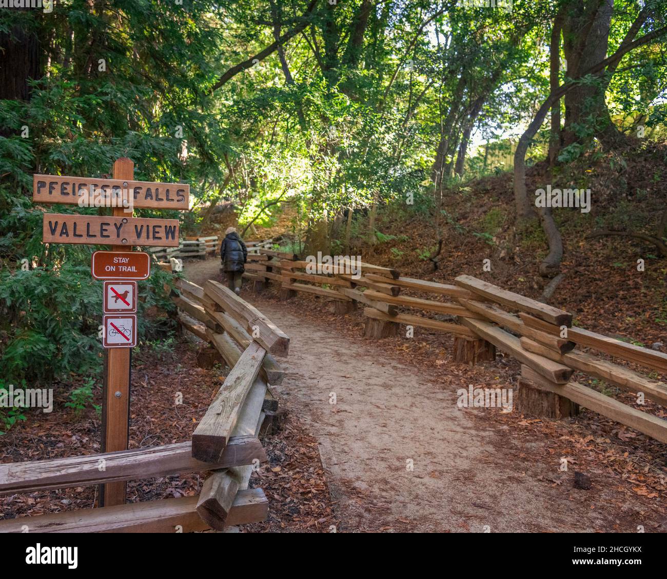 Pfeiffer Falls Trail im Pfeiffer Big Sur State Park, Big Sur, CA. Stockfoto