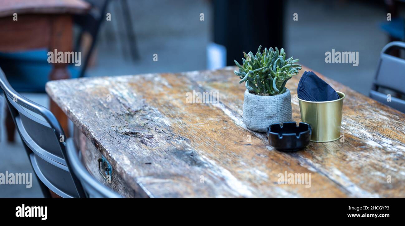 Antiker Holztisch mit Pflanzentopf, Panorama Stockfoto
