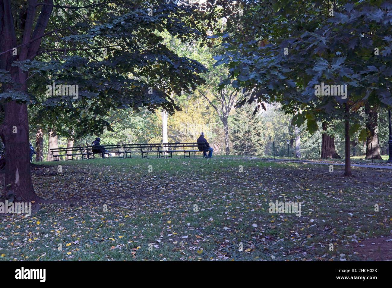 New York, NY, USA - 28. Dez 2021: Entspannung im Central Park an einem Herbsttag Stockfoto