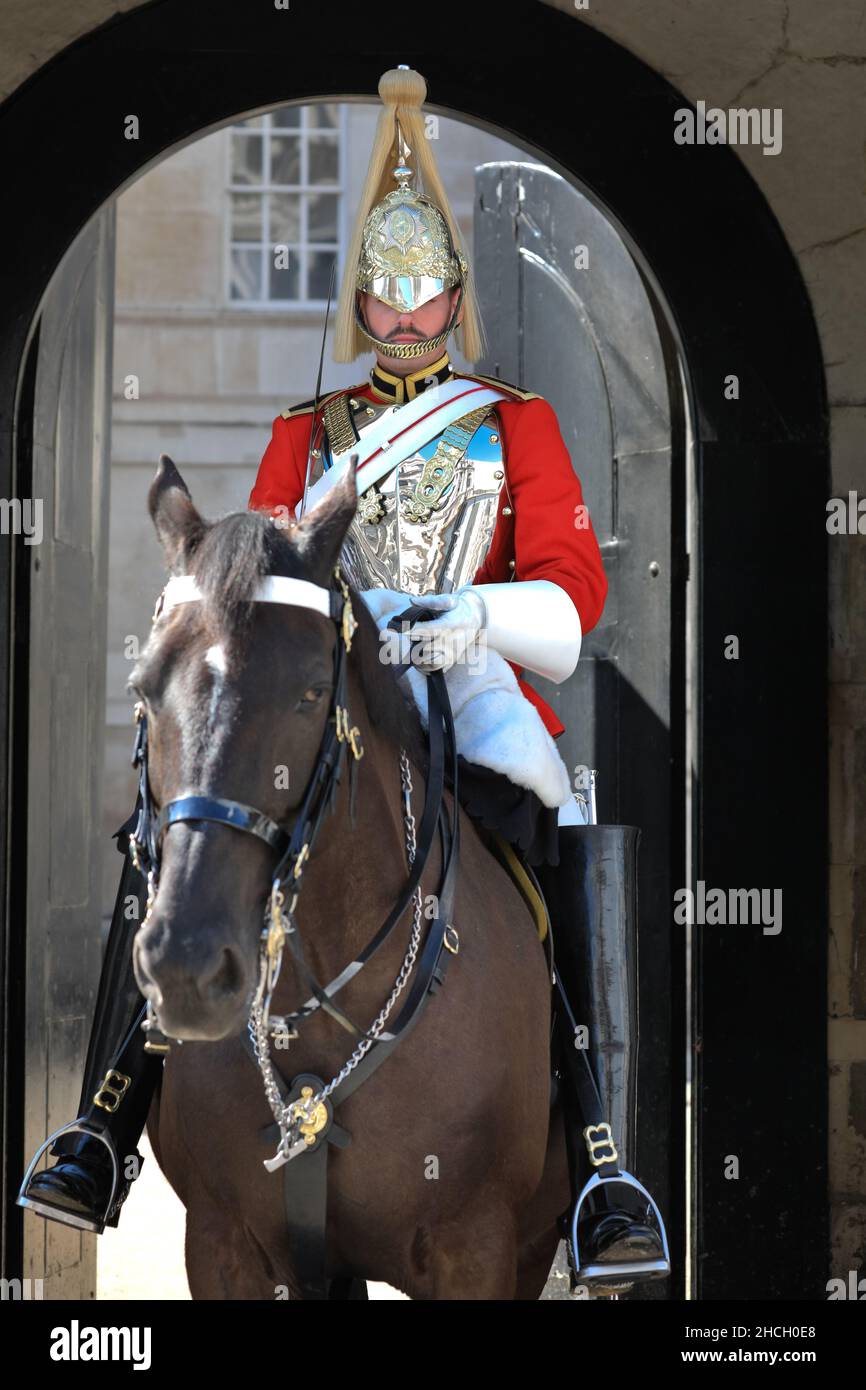 Berittene Pferdeschütze, Mitglied der Kavallerie auf Pferden in Uniform bei der Horseguards Parade, beliebtes Touristenziel, Whitehall, London, England Stockfoto