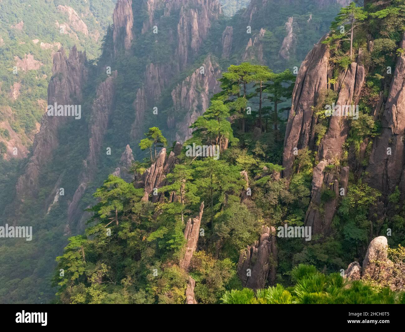 Ein Tal in den Huangshan Bergen, Gelben Bergen, Anhui, Huangshan, China, Asien, Stockfoto Stockfoto