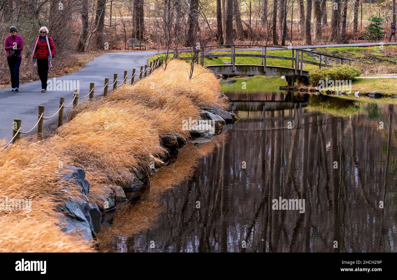 Menschen wandern und gehen über eine Holzbrücke in einem Winterpark Einstellung Stockfoto