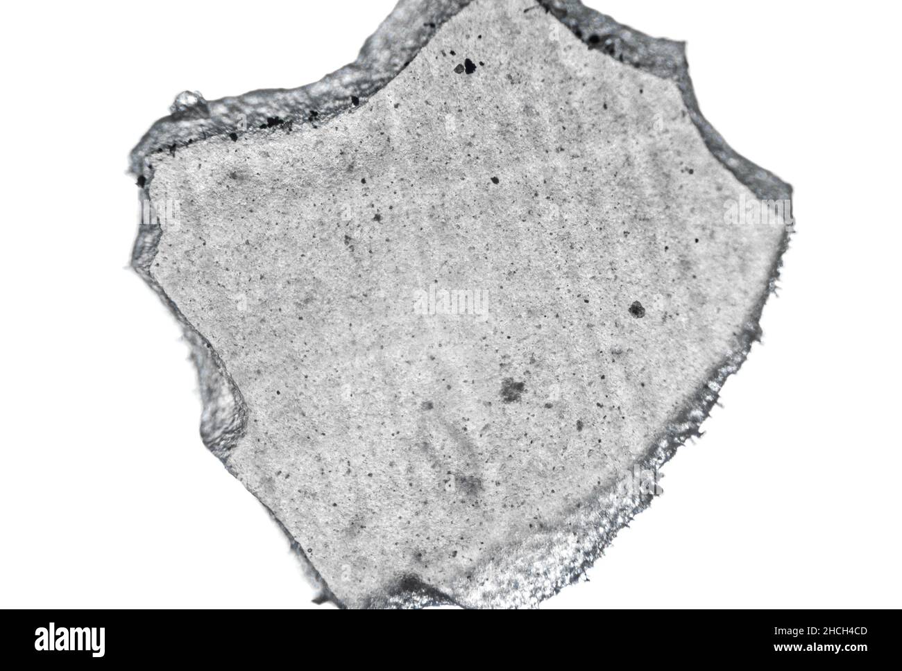 Fragment von Hybrid-Keramik in der Zahnmedizin verwendet, Makro-Foto mit einem Mikroskop, Vergrößerung 40-mal Stockfoto