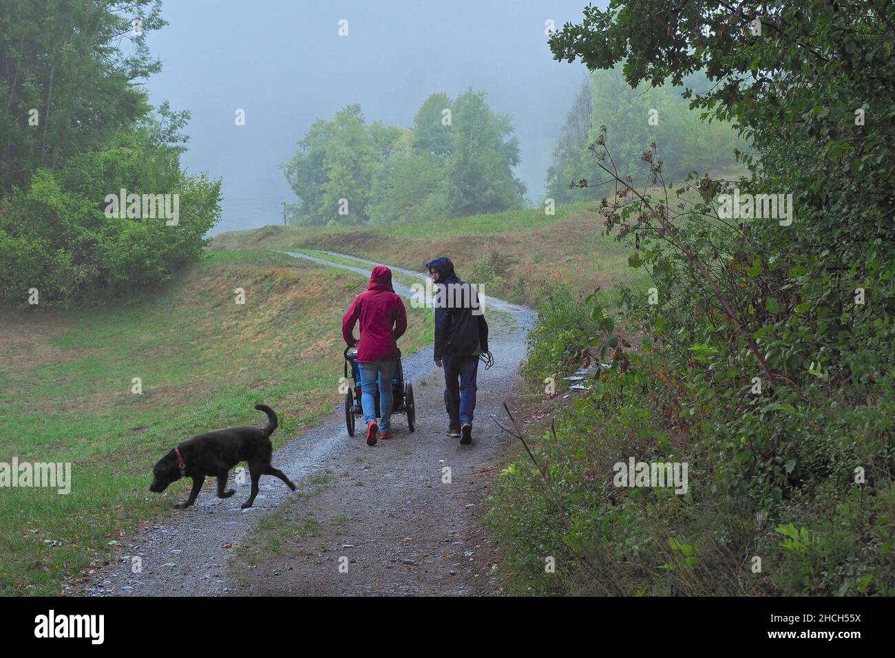 Eltern mit Kinderwagen und Hund bei einem Waldspaziergang, Schweiz Stockfoto