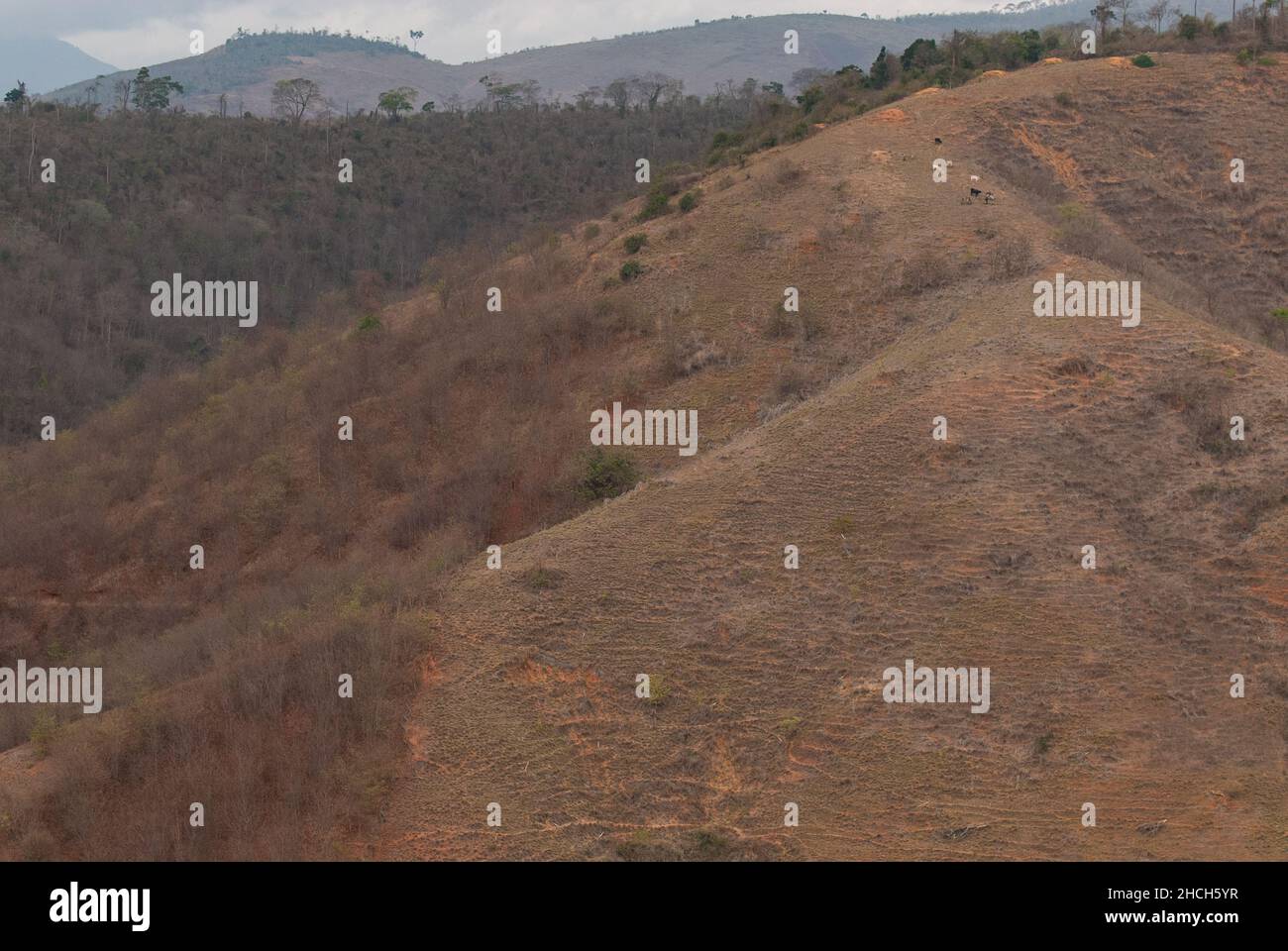 Die Grenze des Schutzgebiets im brasilianischen Atlantischen Vorland, einem stark gefährdeten Lebensraum, zeigt den Druck auf den verbleibenden Wald bis zum Zaun. Stockfoto