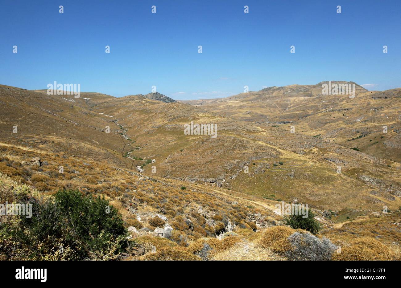 Die karge Landschaft am versteinerten Wald von Lesbos auf der Insel Lesvos in Griechenland. Stockfoto