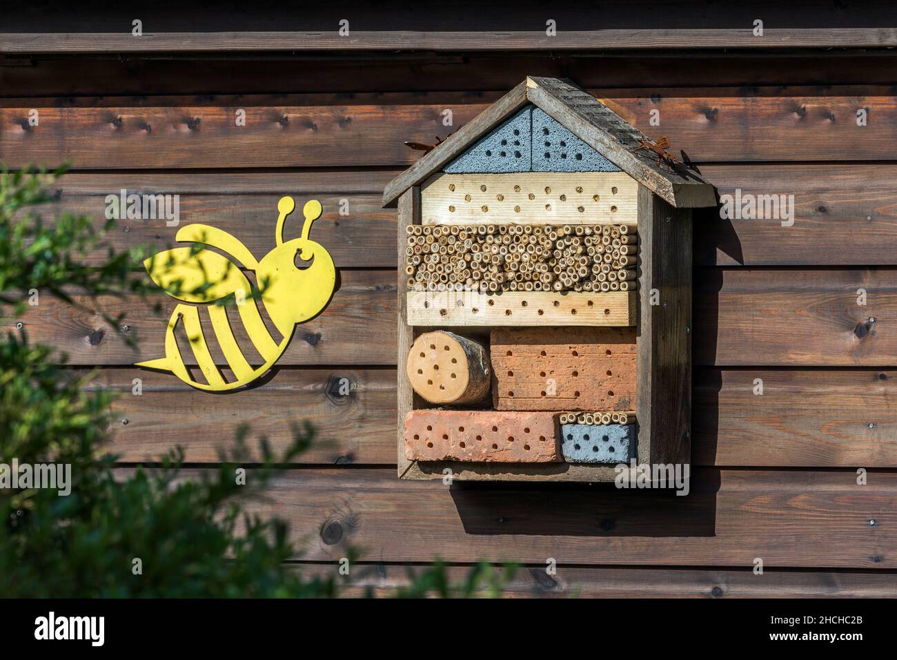 Insektenhaus auf einem Schuppen; Großbritannien Stockfoto