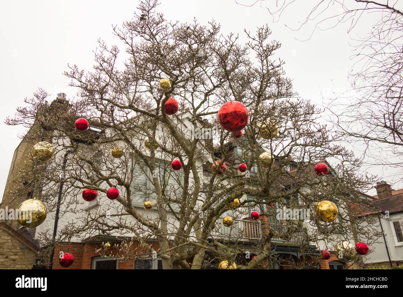 Große, bunte Weihnachtskugeln hängen an einem Baum im Vorgarten von jemandem Stockfotografie