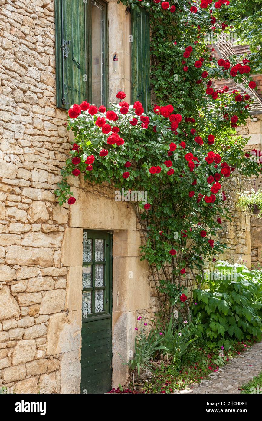 Wunderschönes altes französisches Steinhaus mit roten Rosen, die um den Eingang wachsen Stockfoto