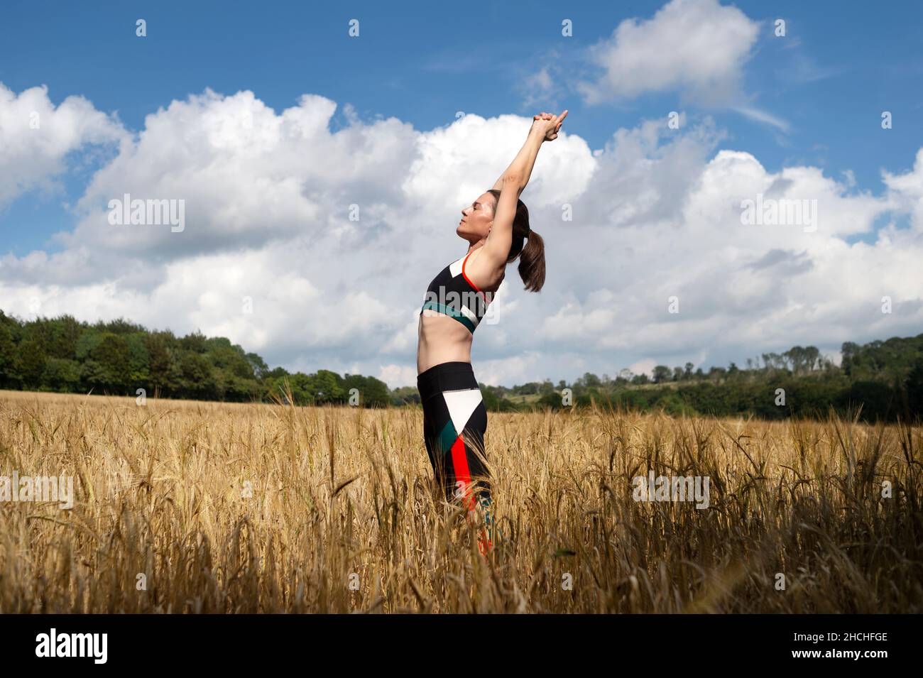 Fit sportliche Frau macht Stretching-Übungen im Freien in einem Feld Stockfoto