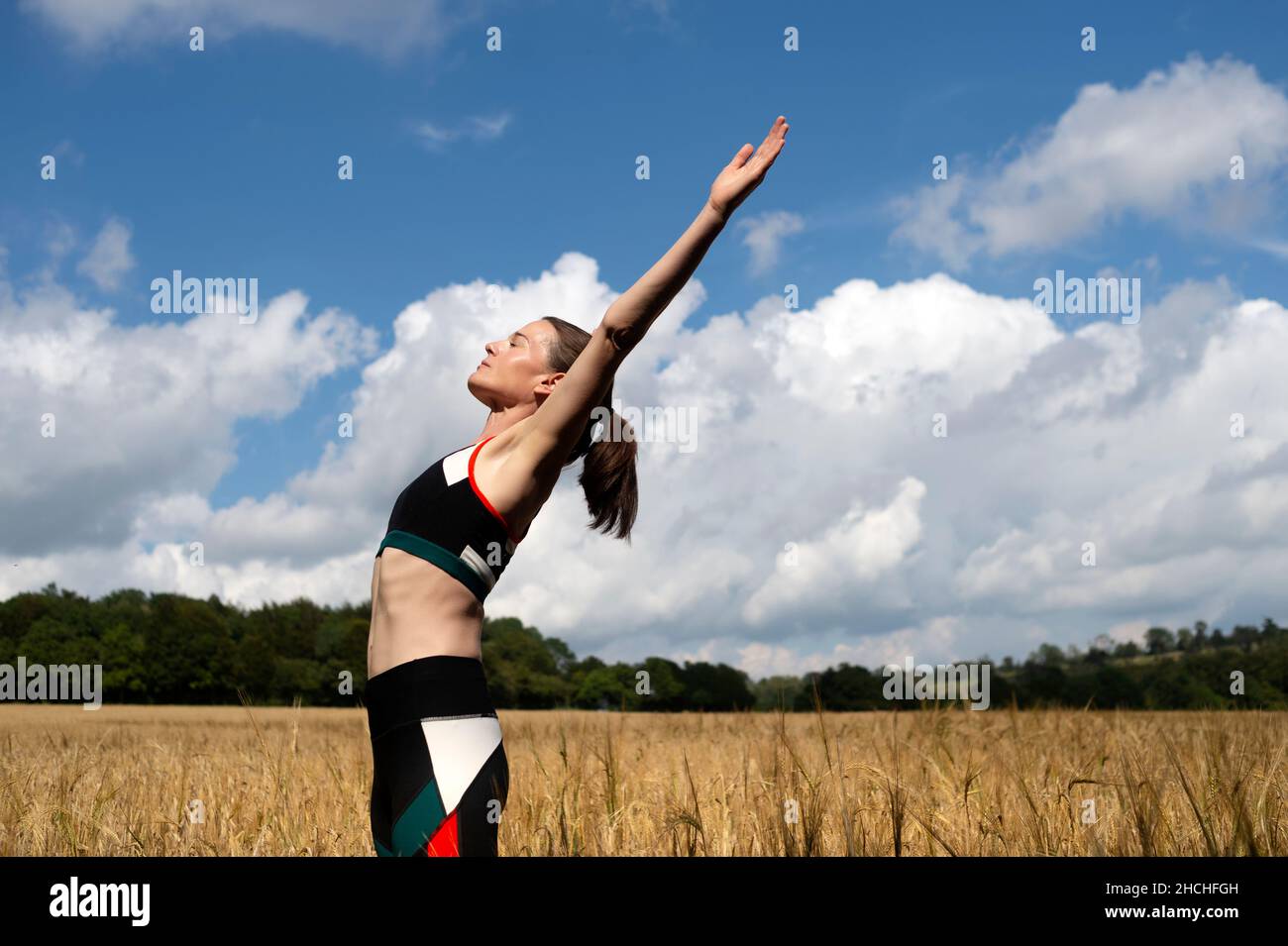 Fit sportliche Frau macht Stretching-Übungen im Freien in einem Feld Stockfoto