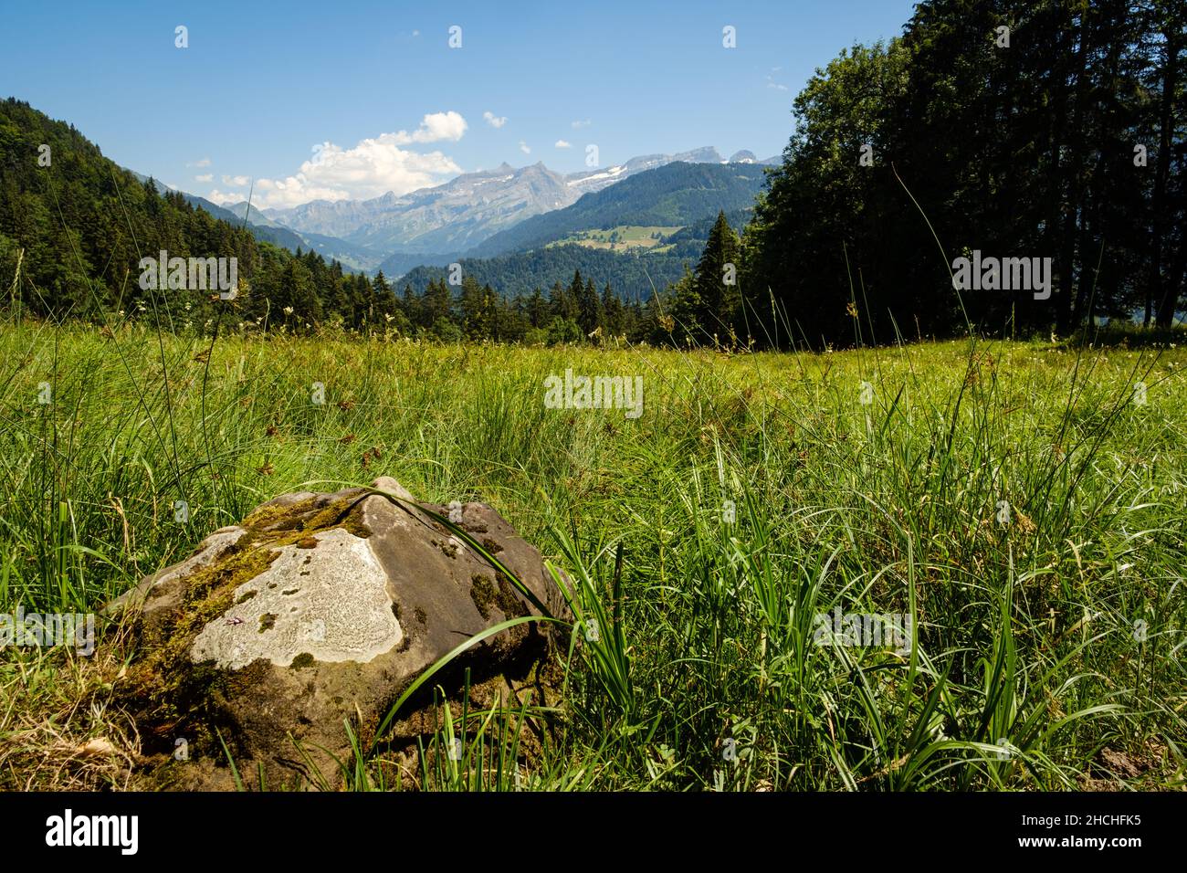 Leere alpine Sommerlandschaft. Felsen im Vordergrund, grüne Weide, Bäume und der Diablerets-Massif im Hintergrund unter blauem Himmel. Leysin, Kanton V Stockfoto