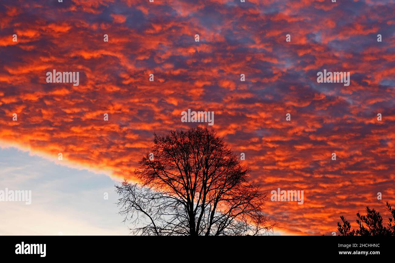 Ein Sonnenaufgang, der sich im Dezember auf der Unterseite der Wolken am Stadtrand von Norwich in Hellesdon, Norfolk, England, Großbritannien, widerspiegelt. Stockfoto