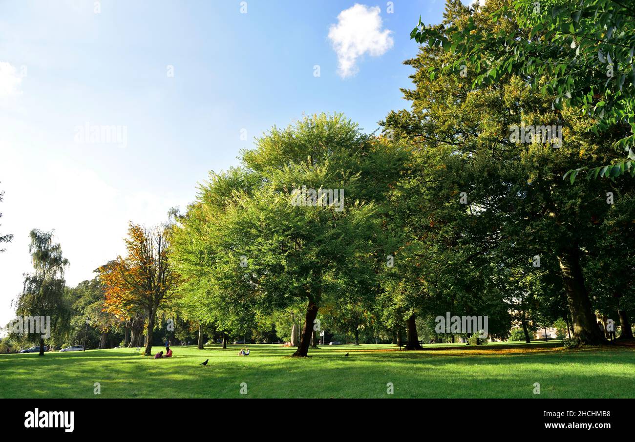 Öffentlicher Park, die Clifton Downs, mit Bäumen, Gras und Freiflächen Stockfoto