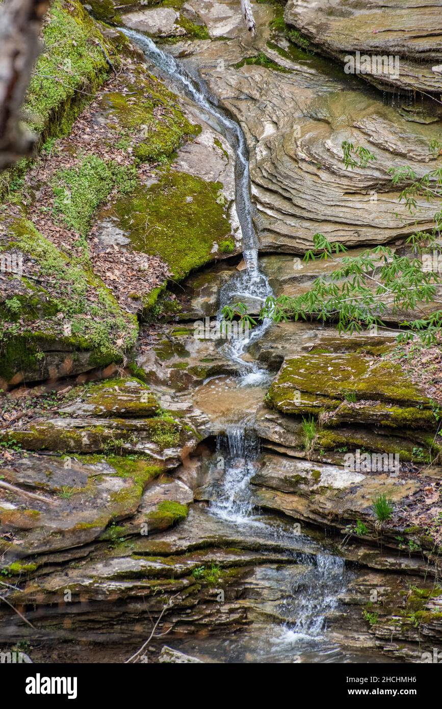 Fließende Wasserquellen im Carter Caves Resort State Park, Kentucky Stockfoto
