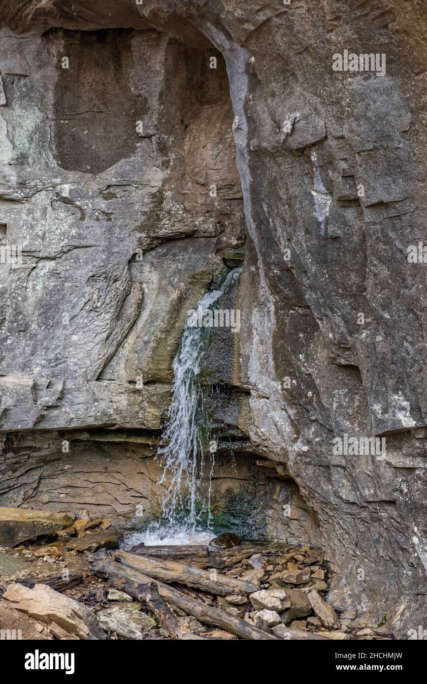 Fließende Wasserquellen im Carter Caves Resort State Park, Kentucky Stockfoto