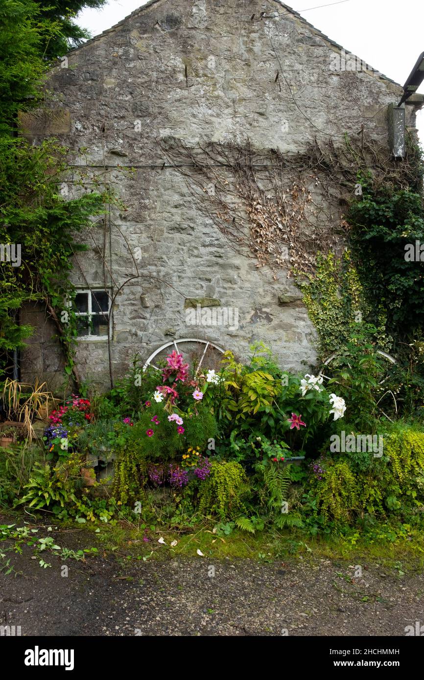 Ferienhaus mit Pflanzen, Dig Street, Hartingdon Dorf, Peak District, Derbyshire. Stockfoto