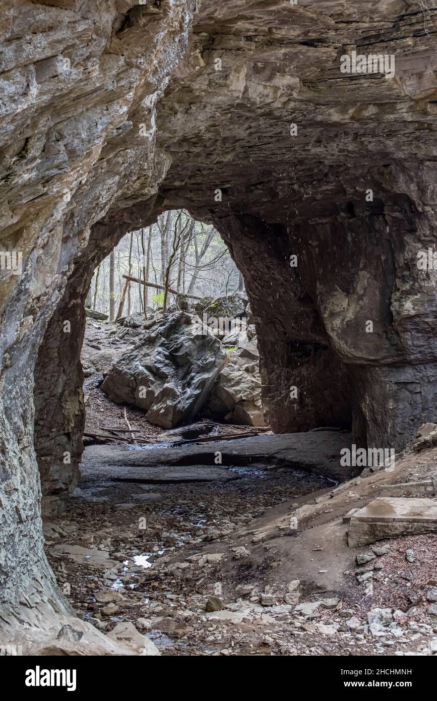 Smoky Arch im Carter Caves State Resort Park, Kentucky Stockfoto