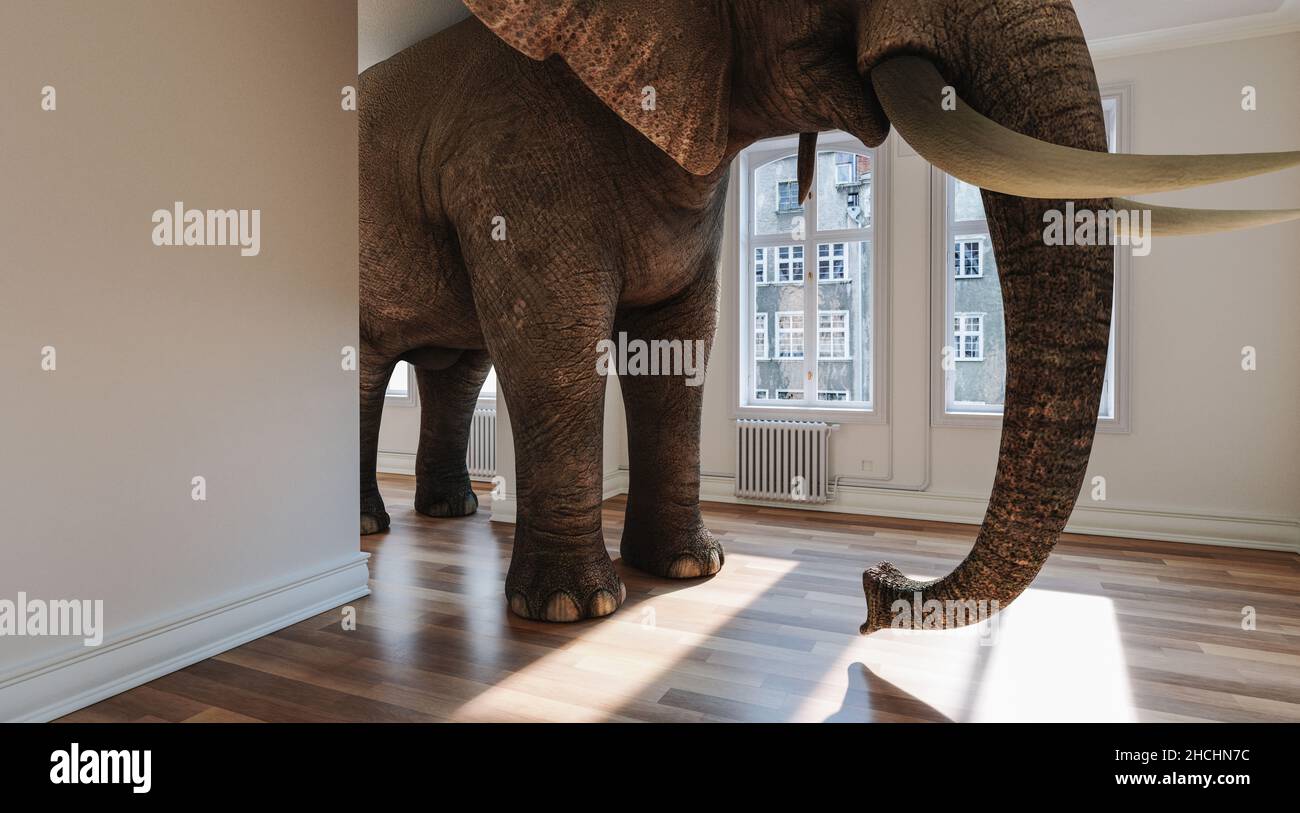 Großer Elefant im kleinen Raum als lustiges Raumproblem-Konzeptbild Stockfoto