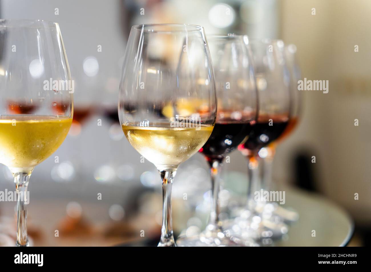 Verschiedene Weine während der Weinverkostung in der Weinkellerei in Azeitao, Portugal Stockfoto