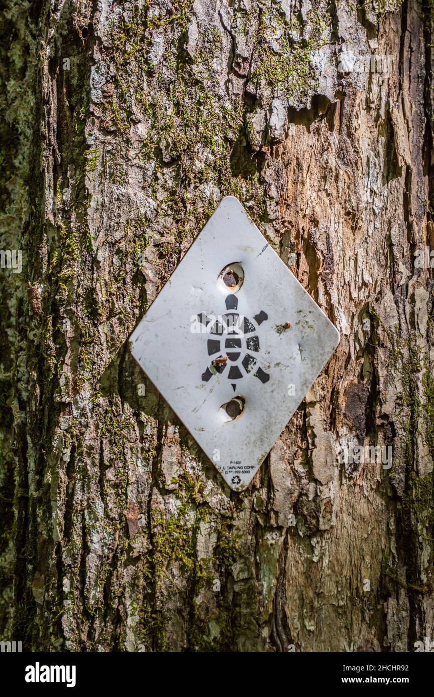Wegweiser in Richtung Sheltowee Trace in Kentucky Stockfoto