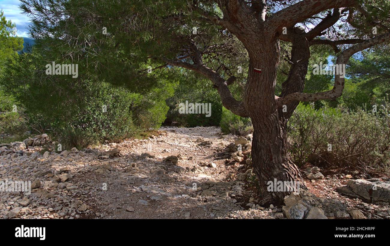 Felsiger Wanderweg im Massiv des Calanques bei Cassis an der französischen Riviera an sonnigen Tagen im Herbst mit Markierung auf Bäumen. Stockfoto