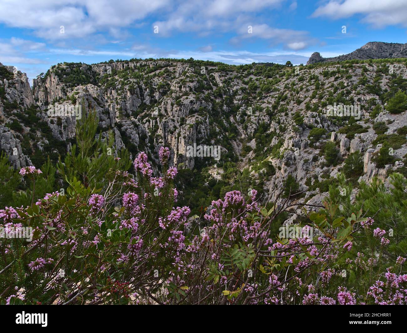 Blick auf die zerklüfteten Felsen des Massif des Calanques an der mittelmeerküste bei Cassis, an der französischen Riviera an sonnigen Herbsttag. Stockfoto