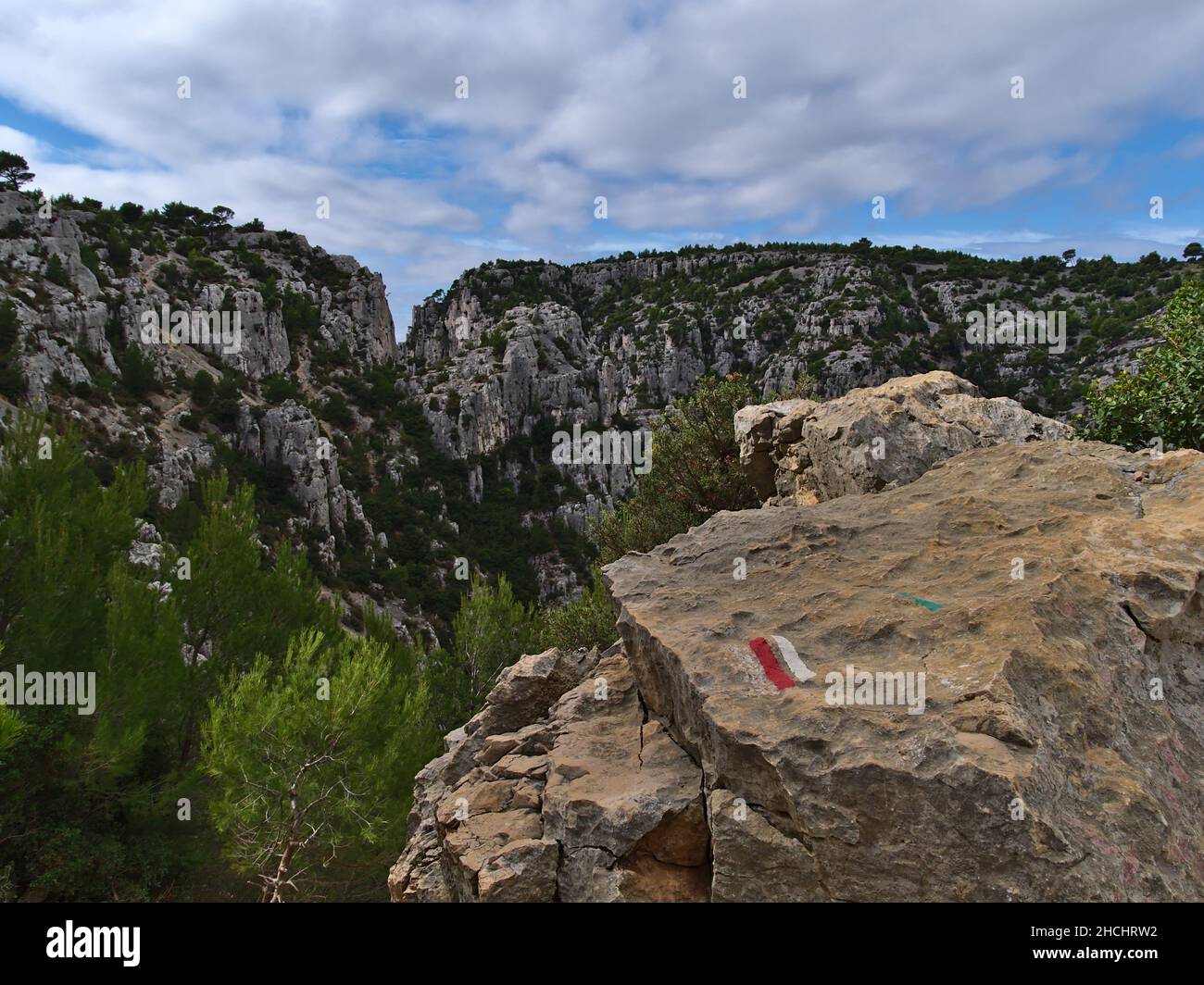 Zerklüftete Klippen der Gebirgskette Massif des Calanques, bedeckt von Pinien in der Nähe von Cassis, an der französischen Riviera an der mittelmeerküste, an sonnigen Tagen. Stockfoto