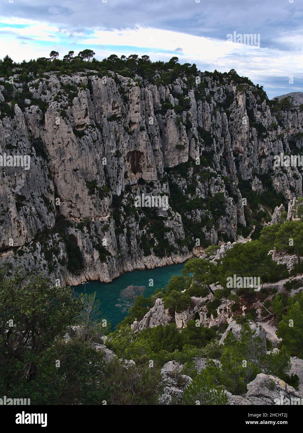 Blick auf die zerklüfteten Klippen des Massif des Calanques in der Nähe von Cassis, Französische Riviera am mittelmeer mit Pinien und enger Bucht. Stockfoto