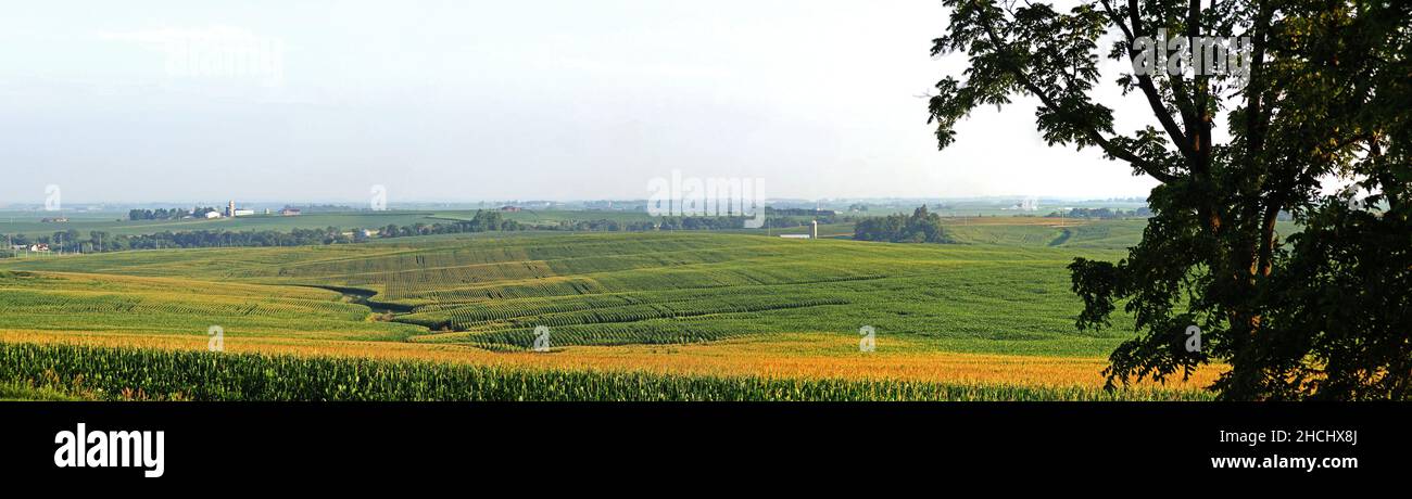 Weite Panoramasicht auf die Felder der Farm, die bis in die Ferne reichen. Sanfte Hügel, weite Freiflächen. Southern Wisconsin, Iowa, Illinois Driftless Area Stockfoto