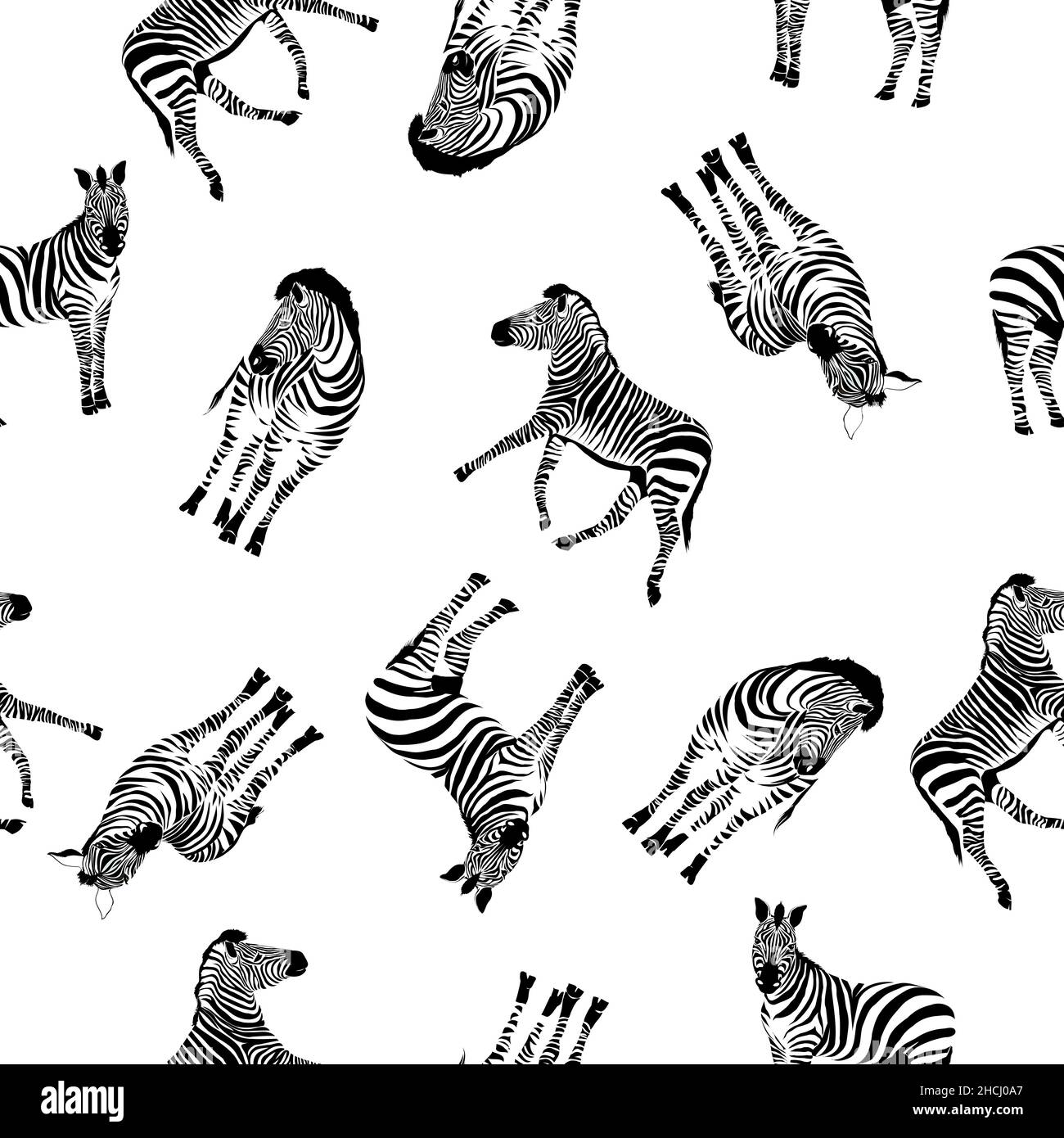 Zebramuster, Illustration, Tier mit dem Kopf eines Zebras. Flaches Zebra-Portrait für Karte, Plakat, Einladung, Buch, Poster, Notizbuch, Skizzenbuch. Stock Vektor