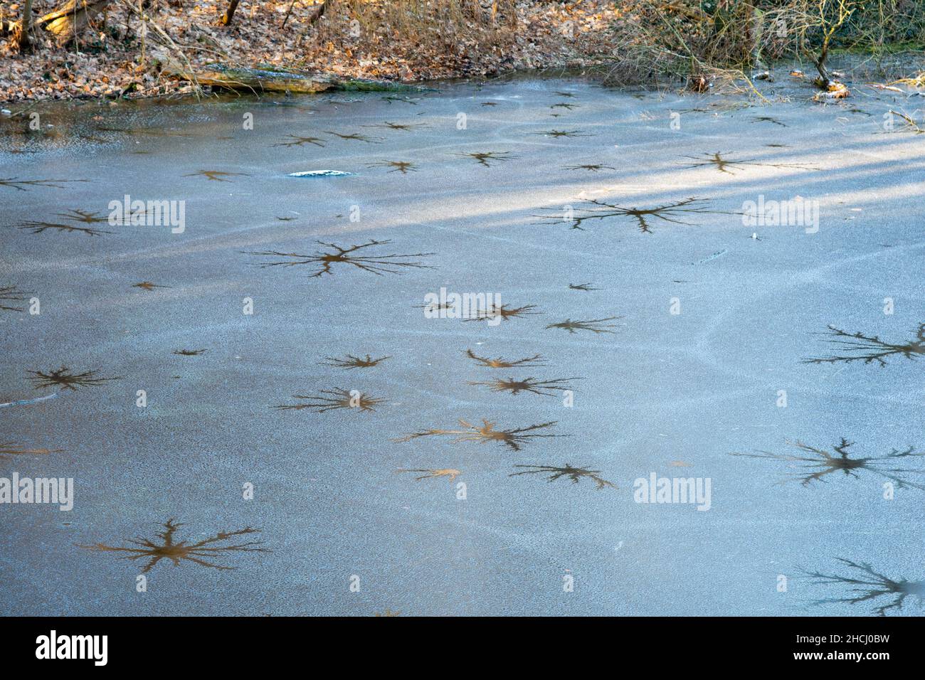 Eis mit abstrakten Eissternen Stockfoto