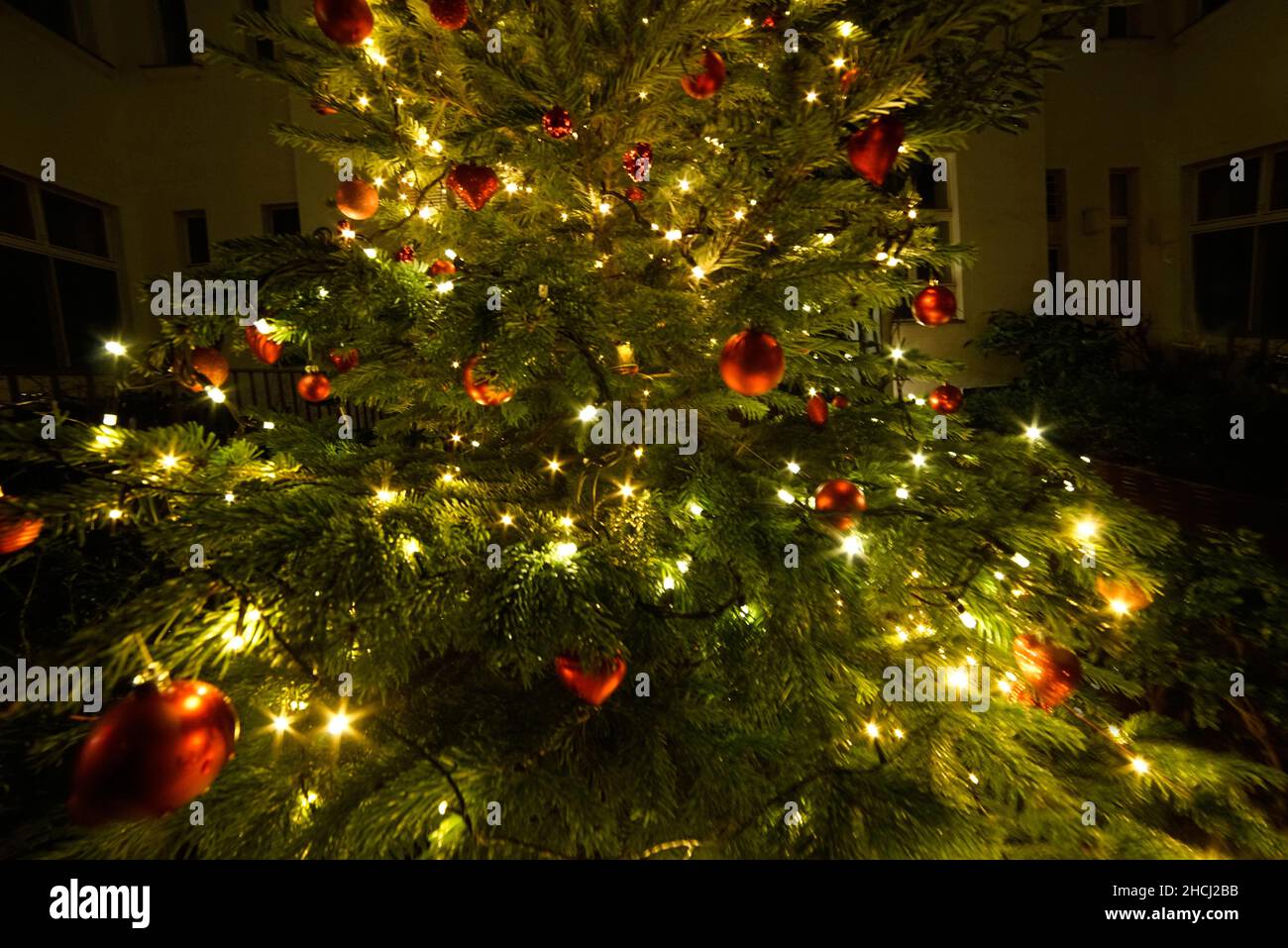 Wunderschön dekorierter Weihnachtsbaum mit funkelnden Feenlichtern und roten Ornamenten sorgt für eine warme festliche Atmosphäre während der Feiertage Stockfoto Wunderschön dekorierter Weihnachtsbaum mit funkelnden Feenlichtern und roten Ornamenten sorgt für eine warme festliche Atmosphäre während der Feiertage Stockfoto