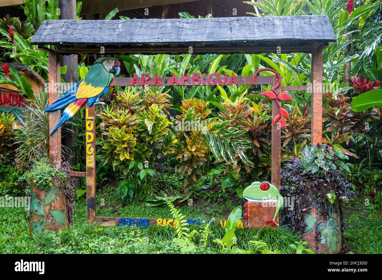 Die Ara ambigua Lodge liegt in der Nähe des gefährdeten Great Green Araw Reservats. Costa Rica, Mittelamerika. Stockfoto