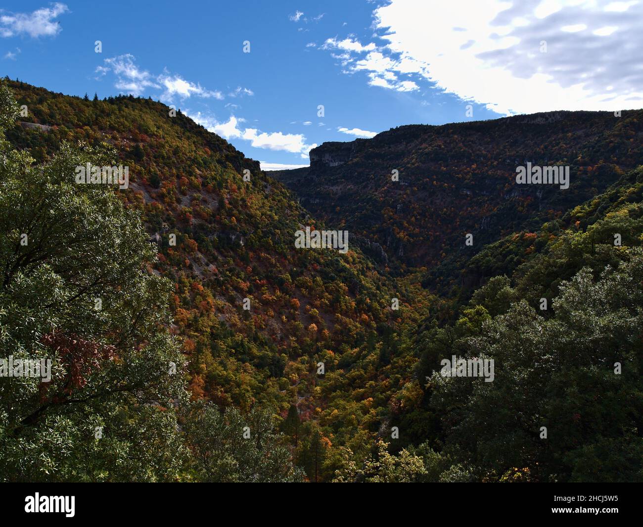 Blick auf die beliebten Schluchten der Nesque mit Kalksteinfelsen in den suberalpinen Vaucluse-Bergen in der Provence, Frankreich an sonnigen Herbsttag. Stockfoto