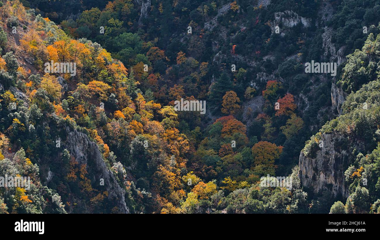 Wunderschöne Aussicht auf die steilen und felsigen Schluchten der Schlucht Gorges de la Nesque im Vaucluse-Gebirge in der Provence, Frankreich an sonnigen Herbsttag. Stockfoto