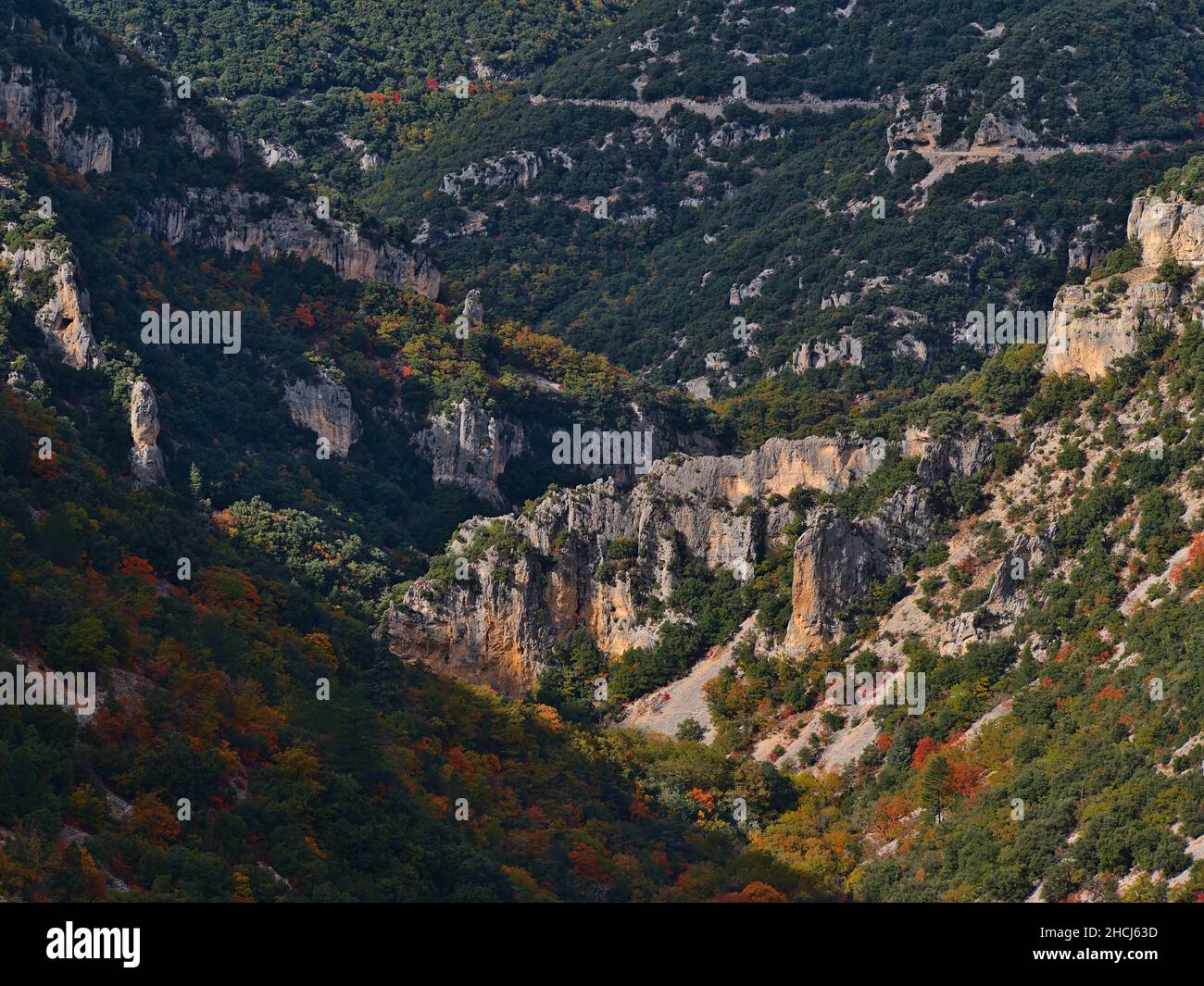 Schöne Panoramasicht auf die steilen Schluchten der Nesque mit zerklüfteten Kalksteinfelsen an den Hängen des Vaucluse-Gebirges in der Provence, Frankreich. Stockfoto