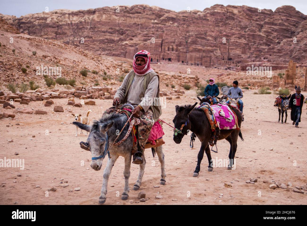 Beduinen von Petra reiten an einem Wintertag auf ihren Eseln in der Wüste von Petra. Petra, Jordanien. Stockfoto