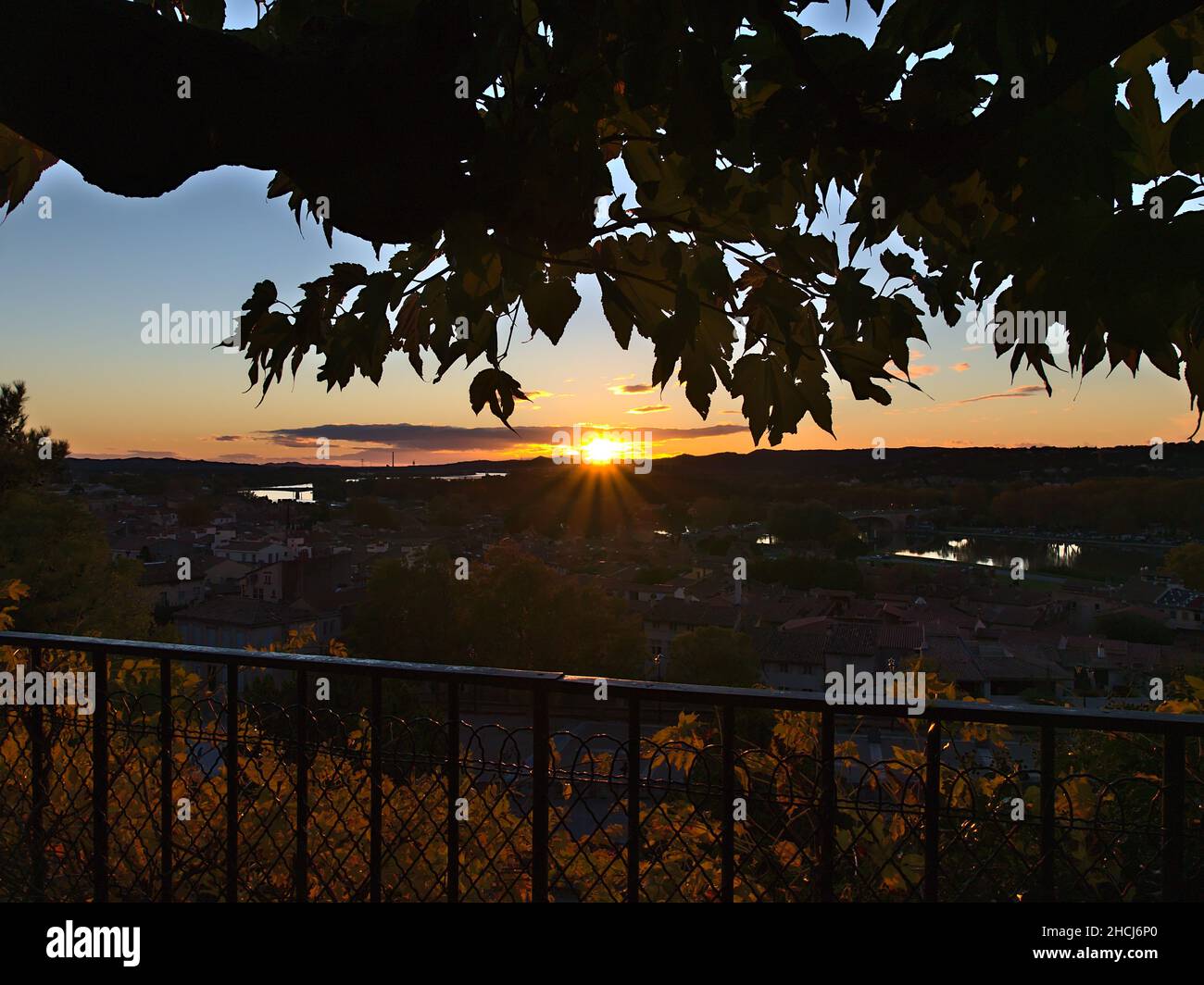 Atemberaubender Sonnenuntergang über der historischen Innenstadt von Avignon, der Provence und Franche mit Metallgeländer vor der Tür und den Silhouetten eines Laubbaums. Stockfoto