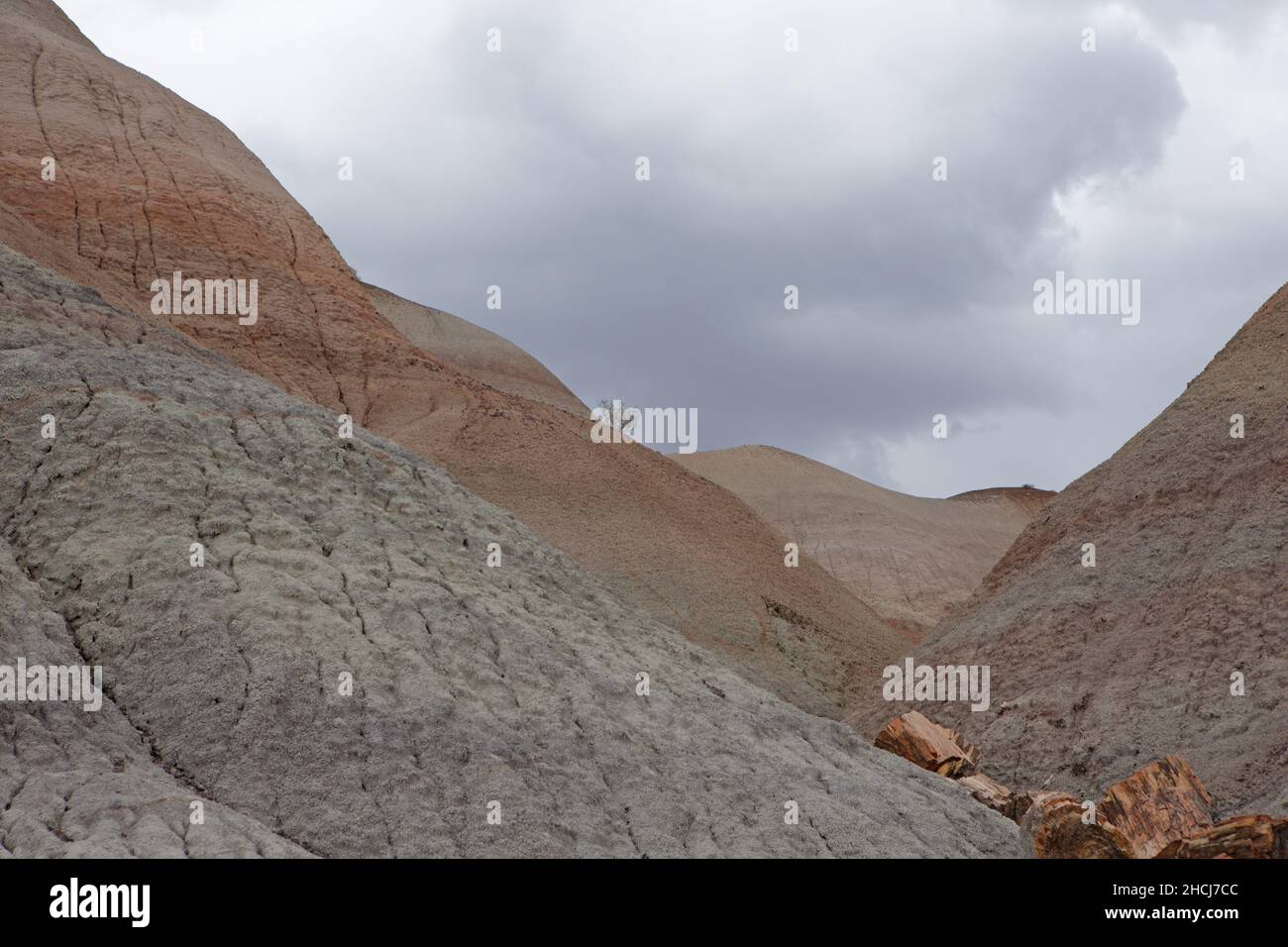 Erodierte Schlammsteinschichten im Blue Mesa, Petrified Forest National Park im Nordosten von Arizona, USA. Stockfoto