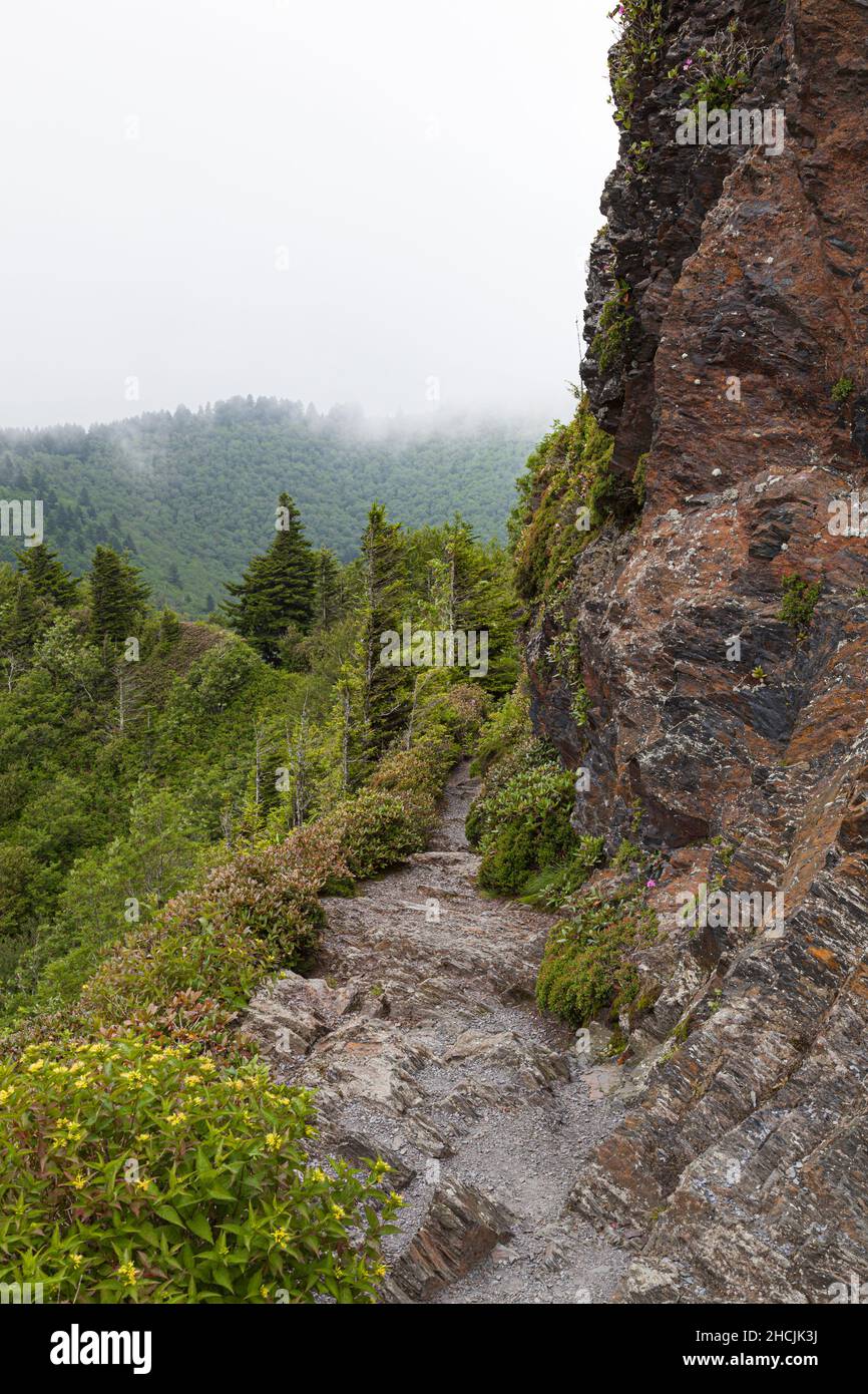 Charlie's Bunion auf dem Appalachian Trail in den Great Smoky Mountains Stockfoto