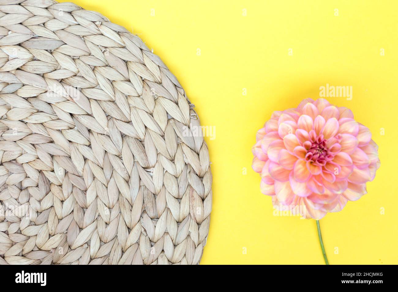 Dahlia rosa Blume und Wasser Hyazinthe handgemachte Serviette. Stockfoto