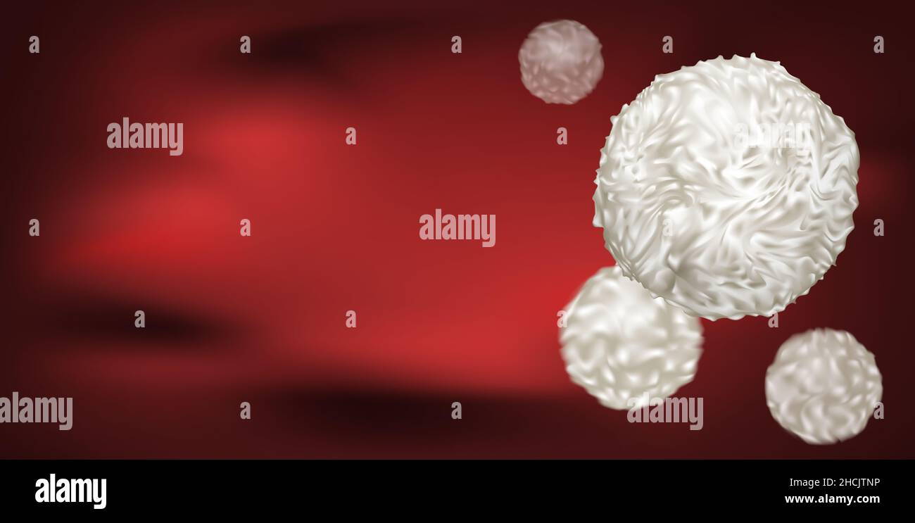 Körpereigene Immunabwehrsystem weiße Blutkörperchen Stockfoto