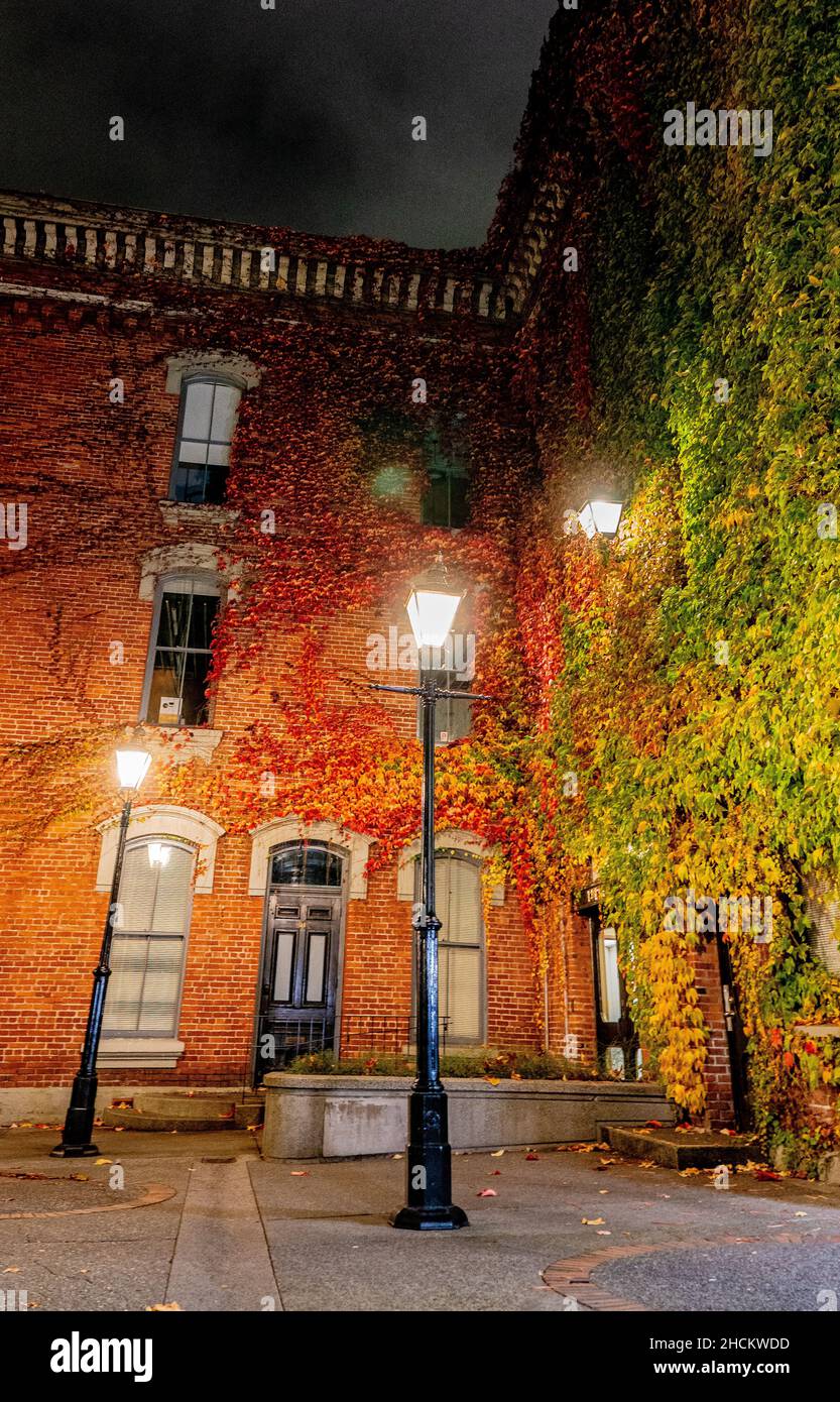 Helles Straßenlicht neben einem roten Ziegelgebäude in der Nacht Stockfoto