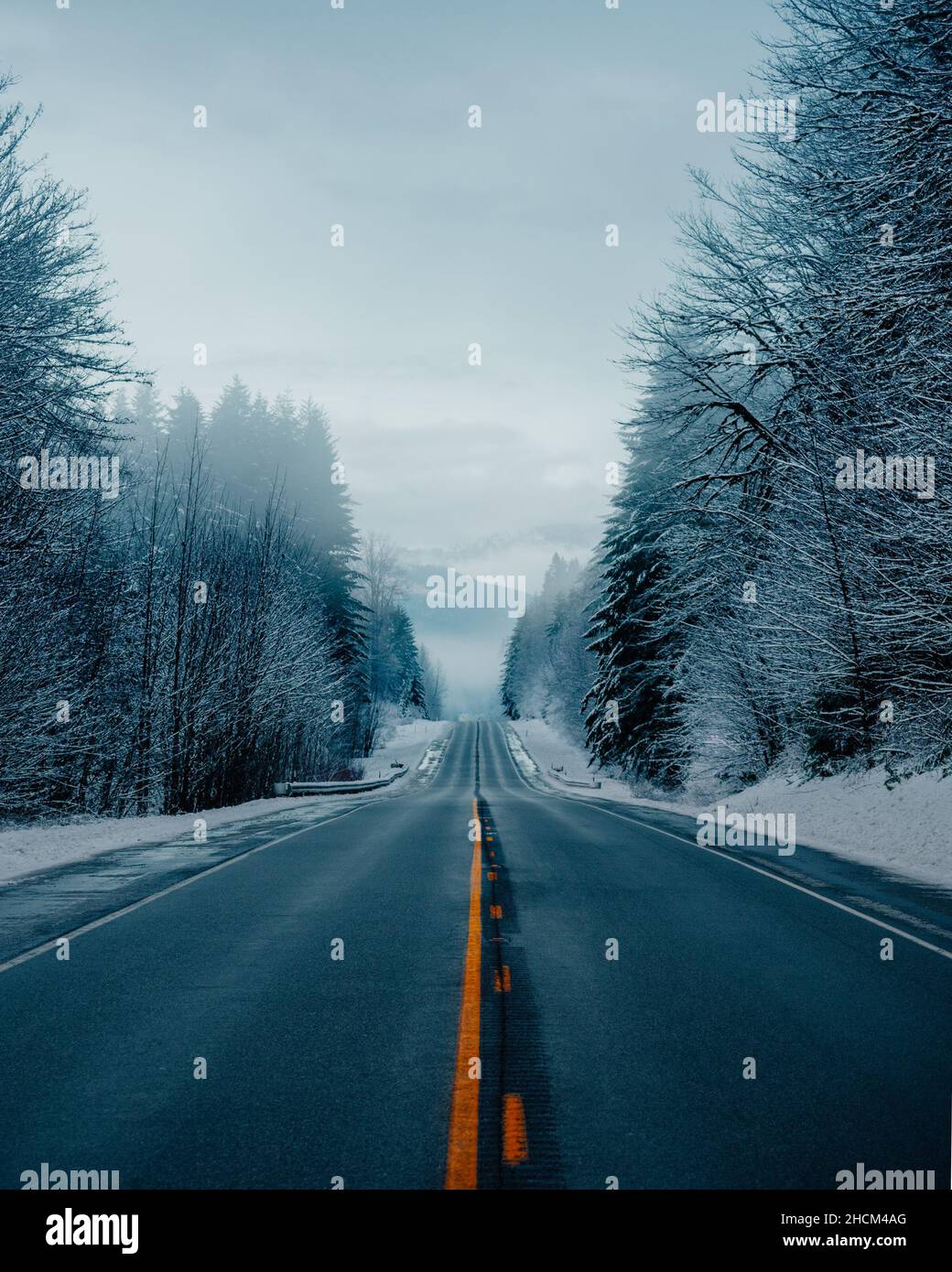 Vertikale Aufnahme einer langen Straße durch ländliche verschneite Waldgebiete in Washington Stockfoto
