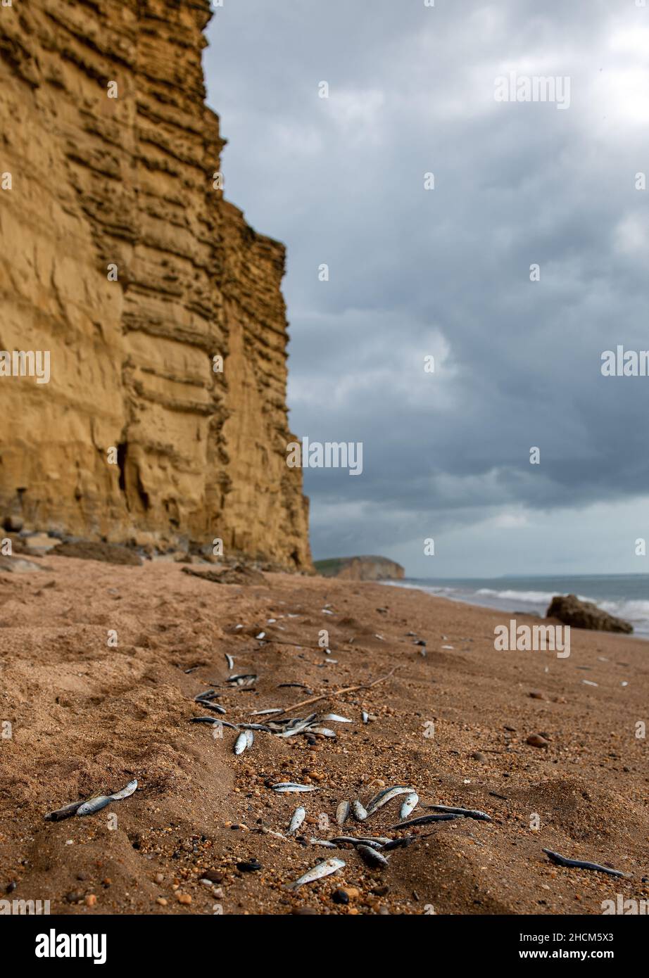 Westbay Stockfoto