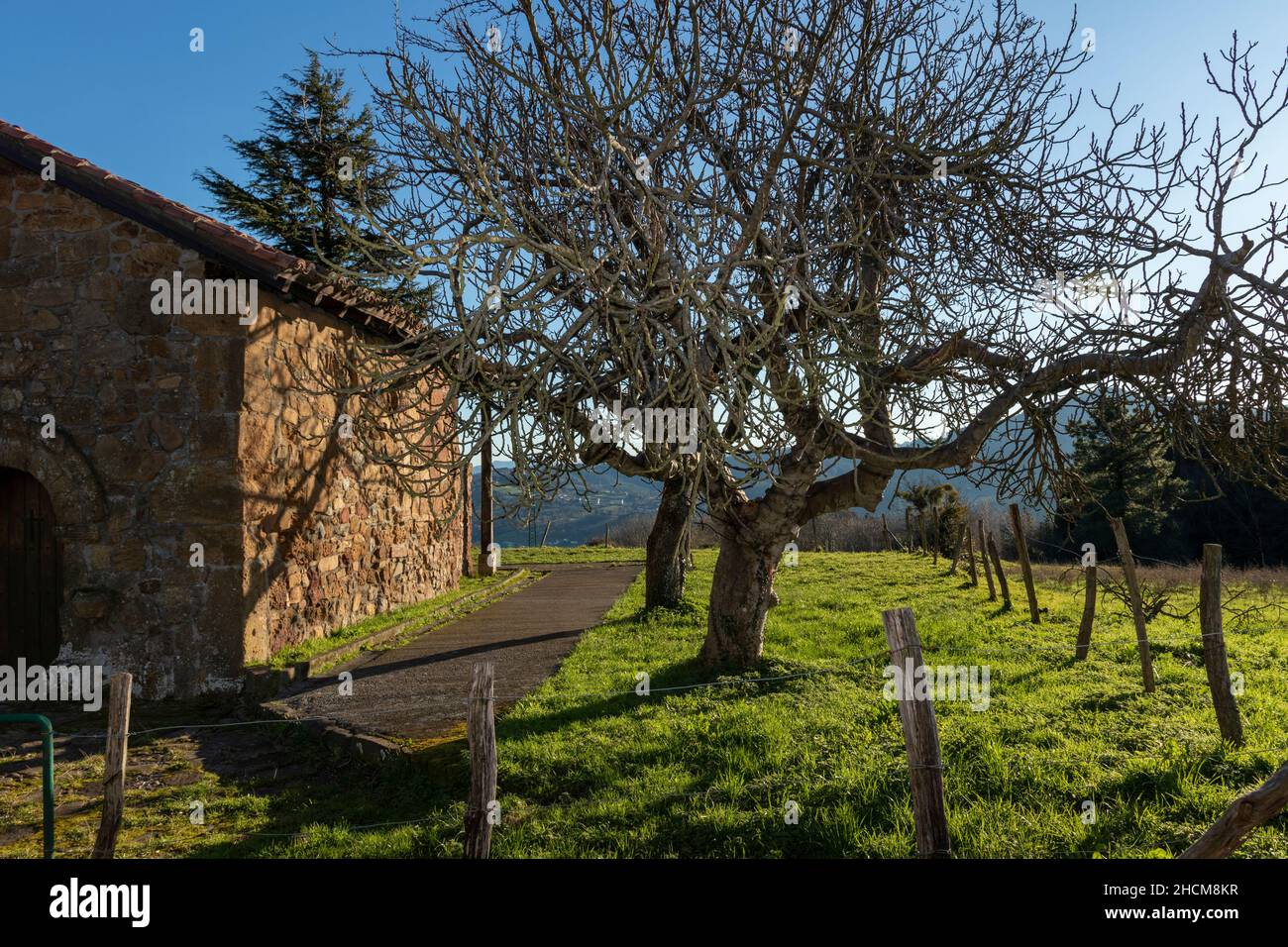 hermitage in euskadi in der Stadt arrigorriaga mit einem Baum daneben Stockfoto