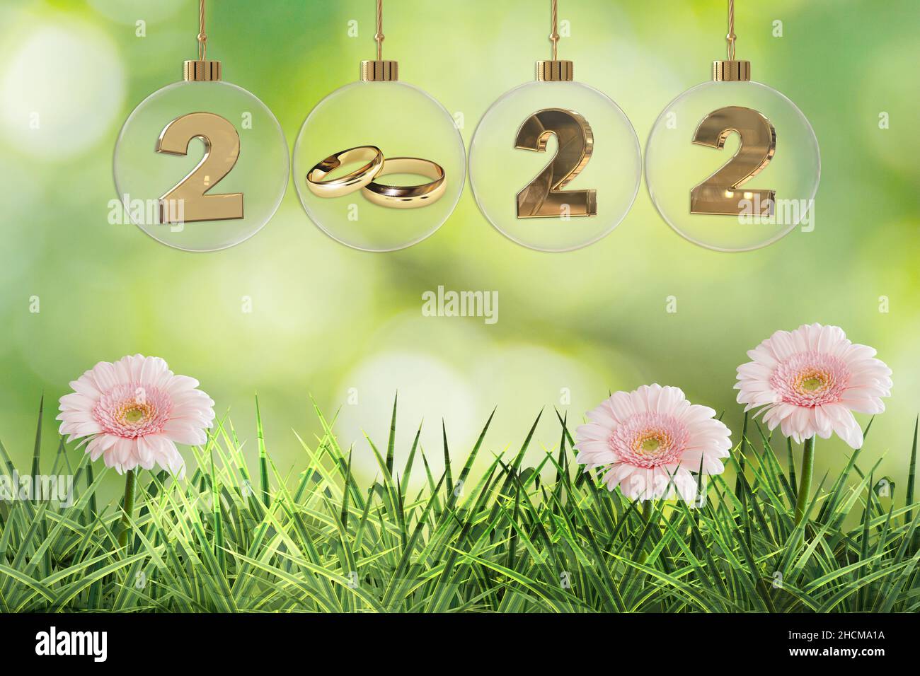 goldene Eheringe in durchsichtiger Glaskugel mit 2022 Ziffern und schönem rosa gerbera grünem Gras Hintergrund Stockfoto